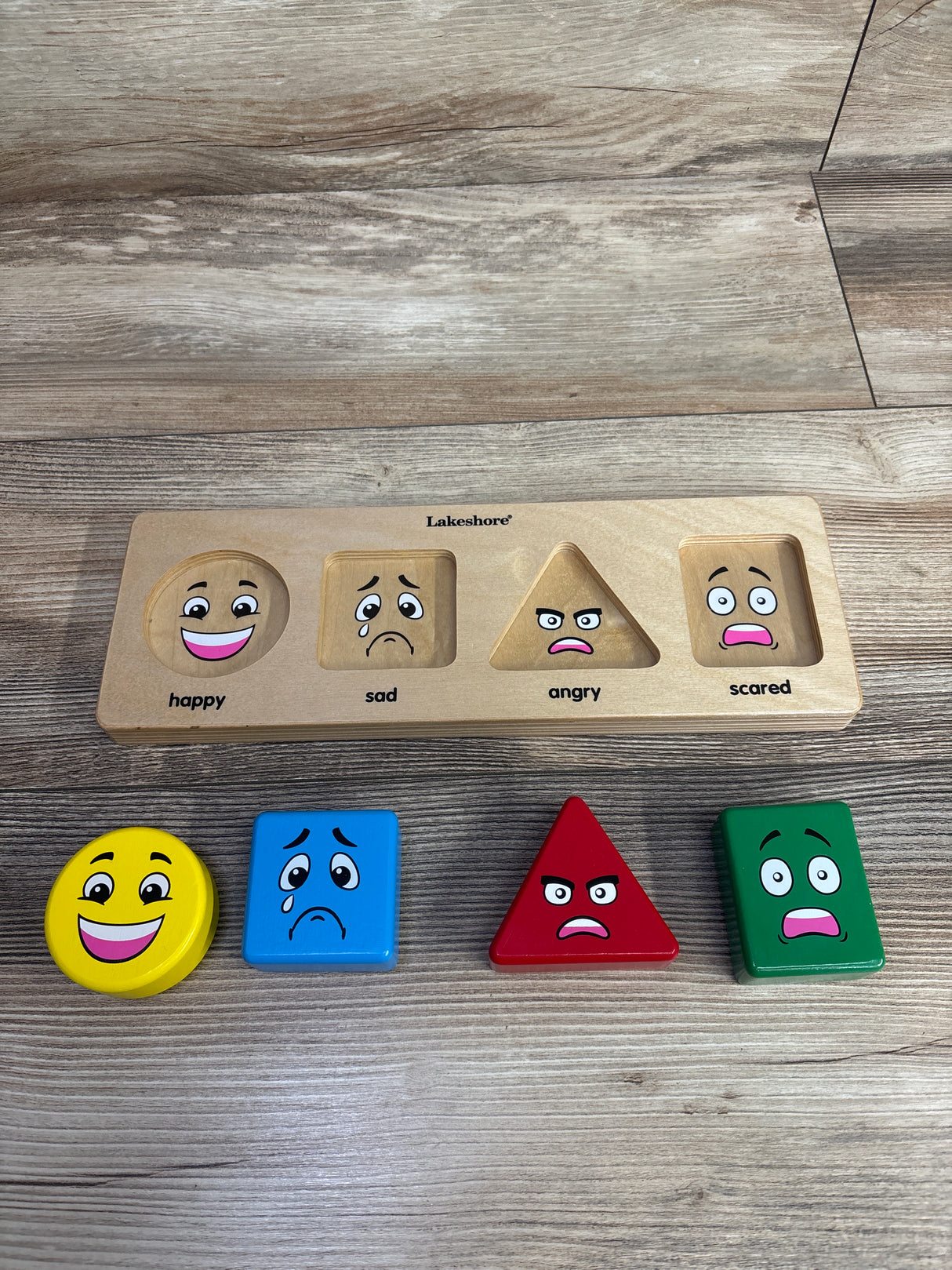 Lakeshore Emotion Match Puzzle Board