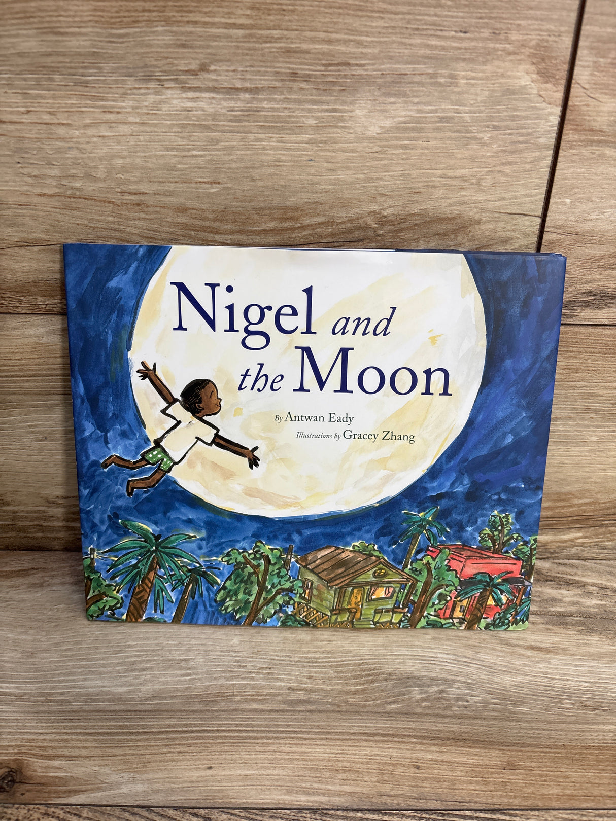 Nigel and the Moon Hardcover Book