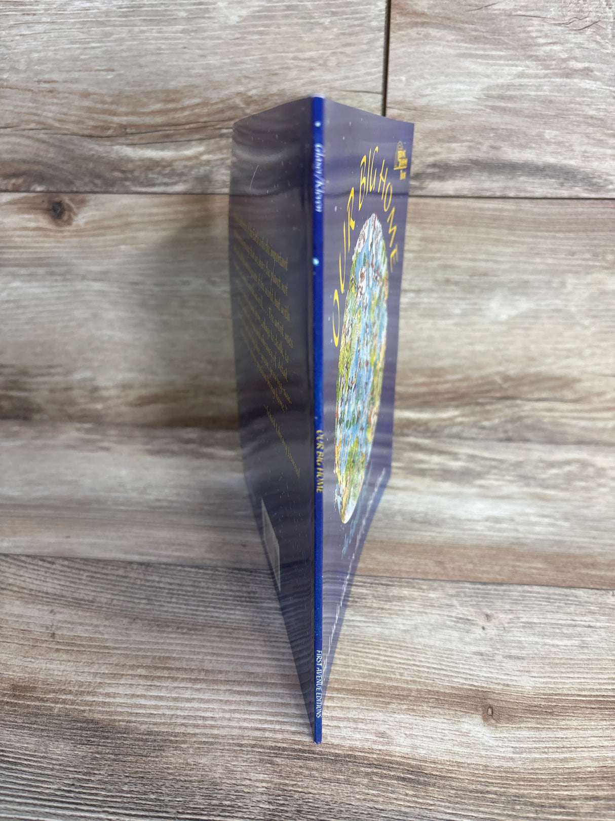 Our Big Home Paperback Book