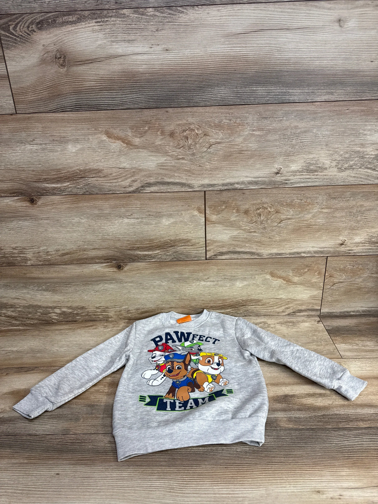 Gray Paw Patrol kids sweatshirt with cartoon dog characters on wood background