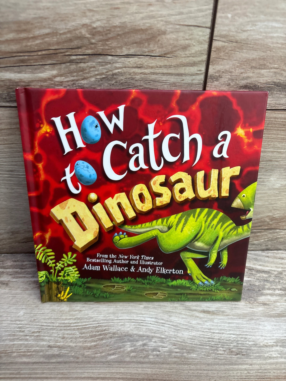 How to Catch a Dinosaur Hardcover Book