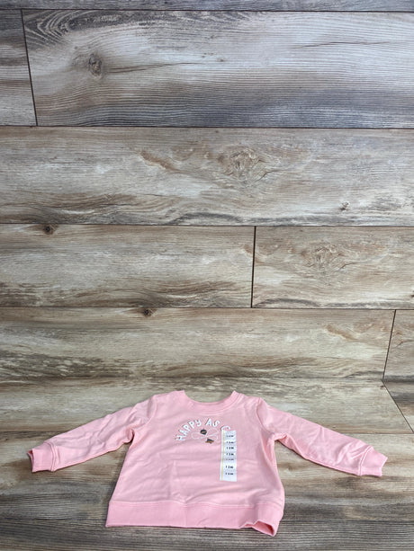 Pink long-sleeve toddler shirt with flower graphic and size 12M tag on rustic wood floor