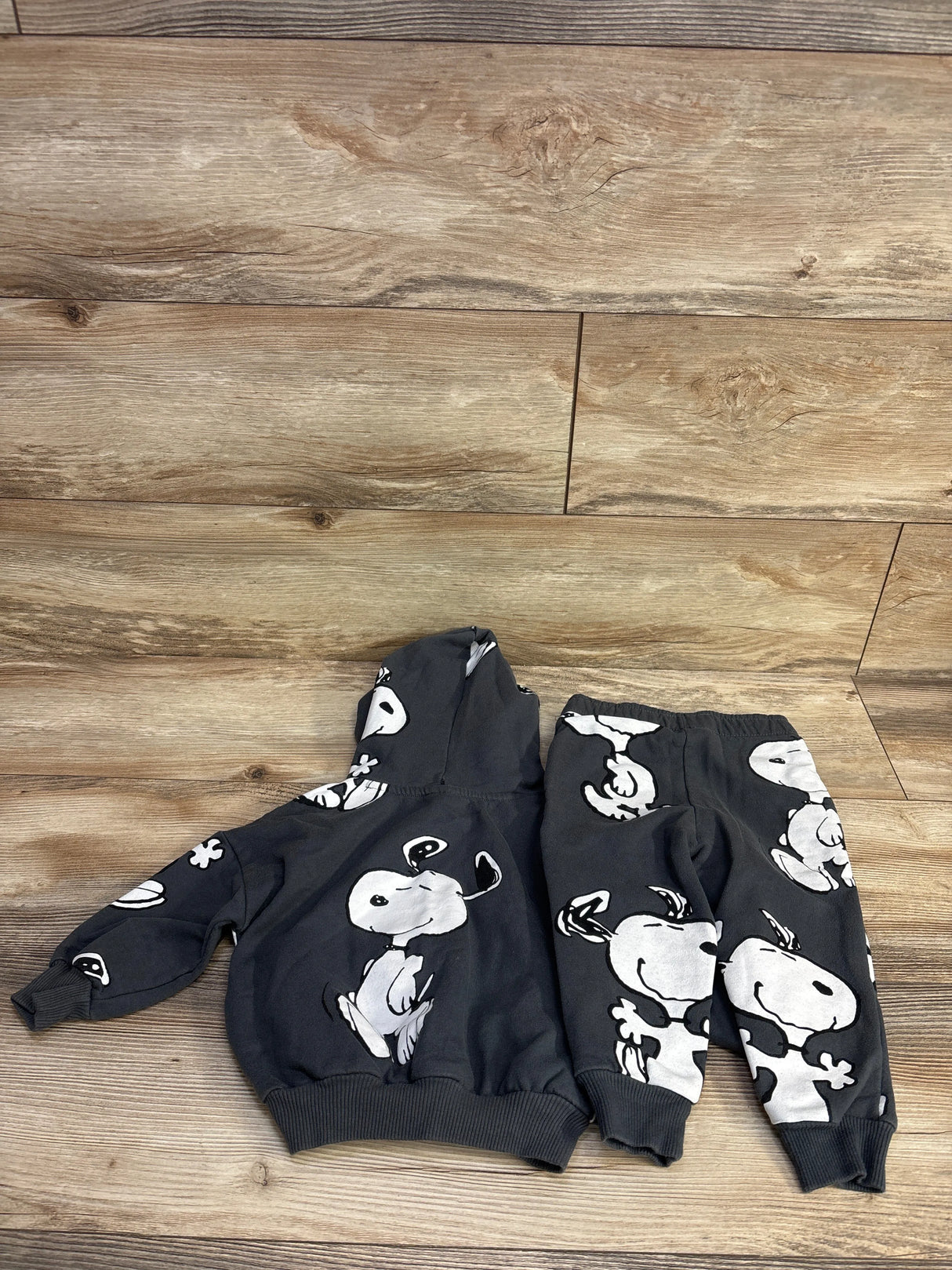 Peanuts 2pc Snoopy Pull Over Hoodie & Jogger Set Grey sz 18m