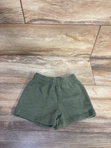 Carter's Pull On Shorts Green sz 12m