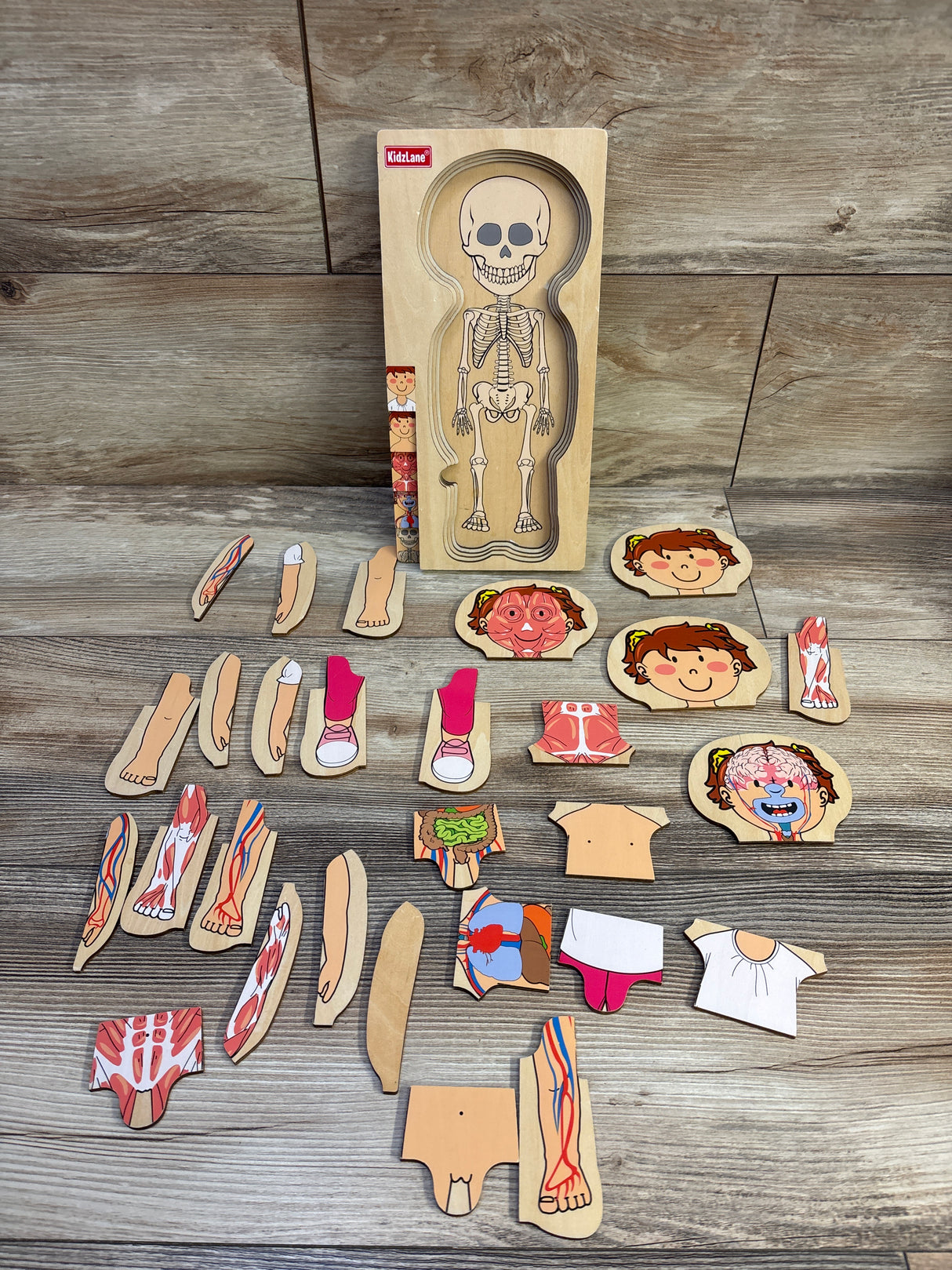 Kidzlane Girl Anatomy Puzzle 29pc