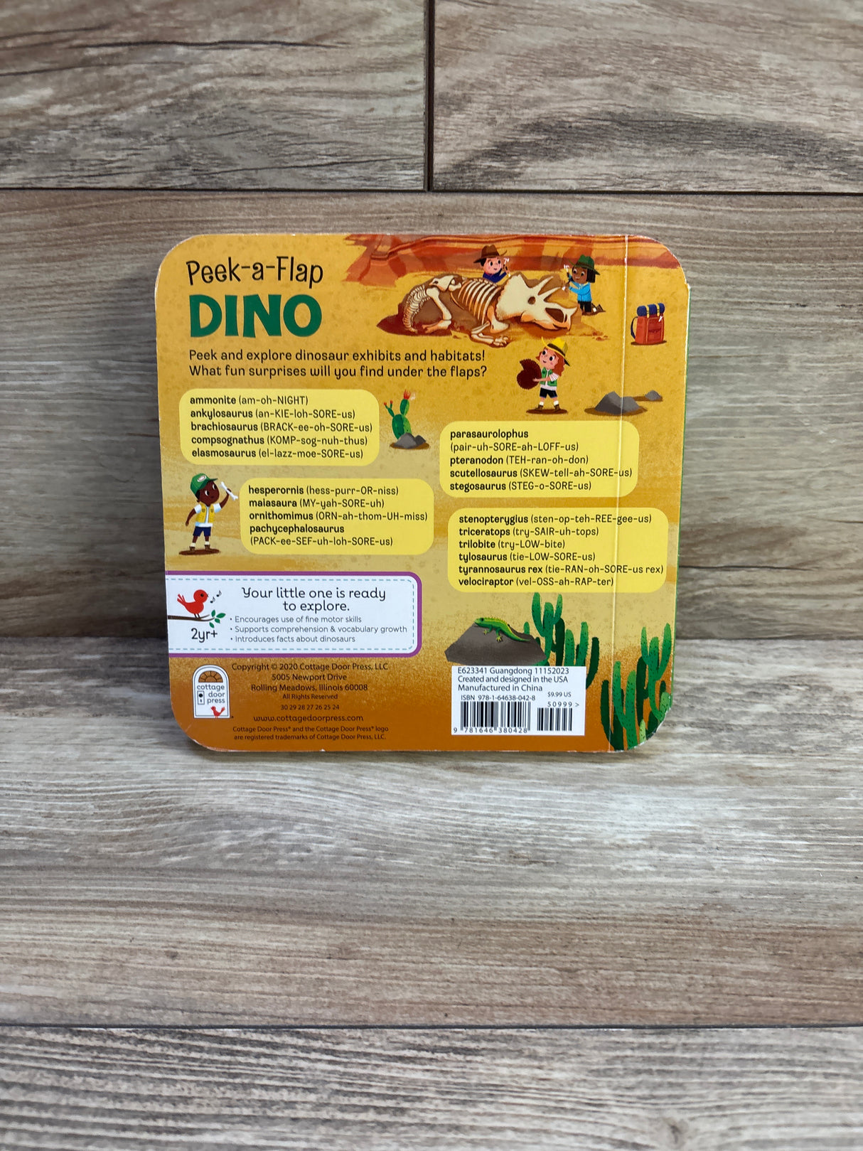 Dino: Peek-a-Flap Board Book
