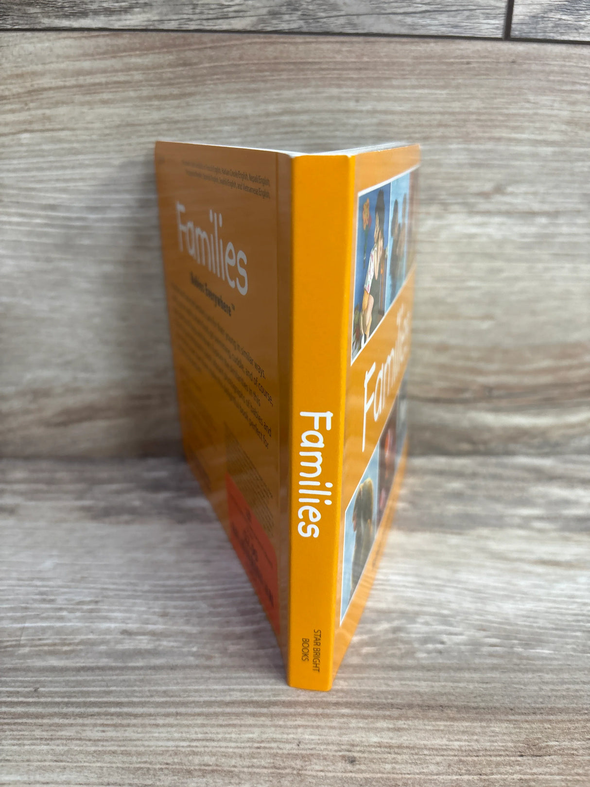 Families (Babies Everywhere) Board Book