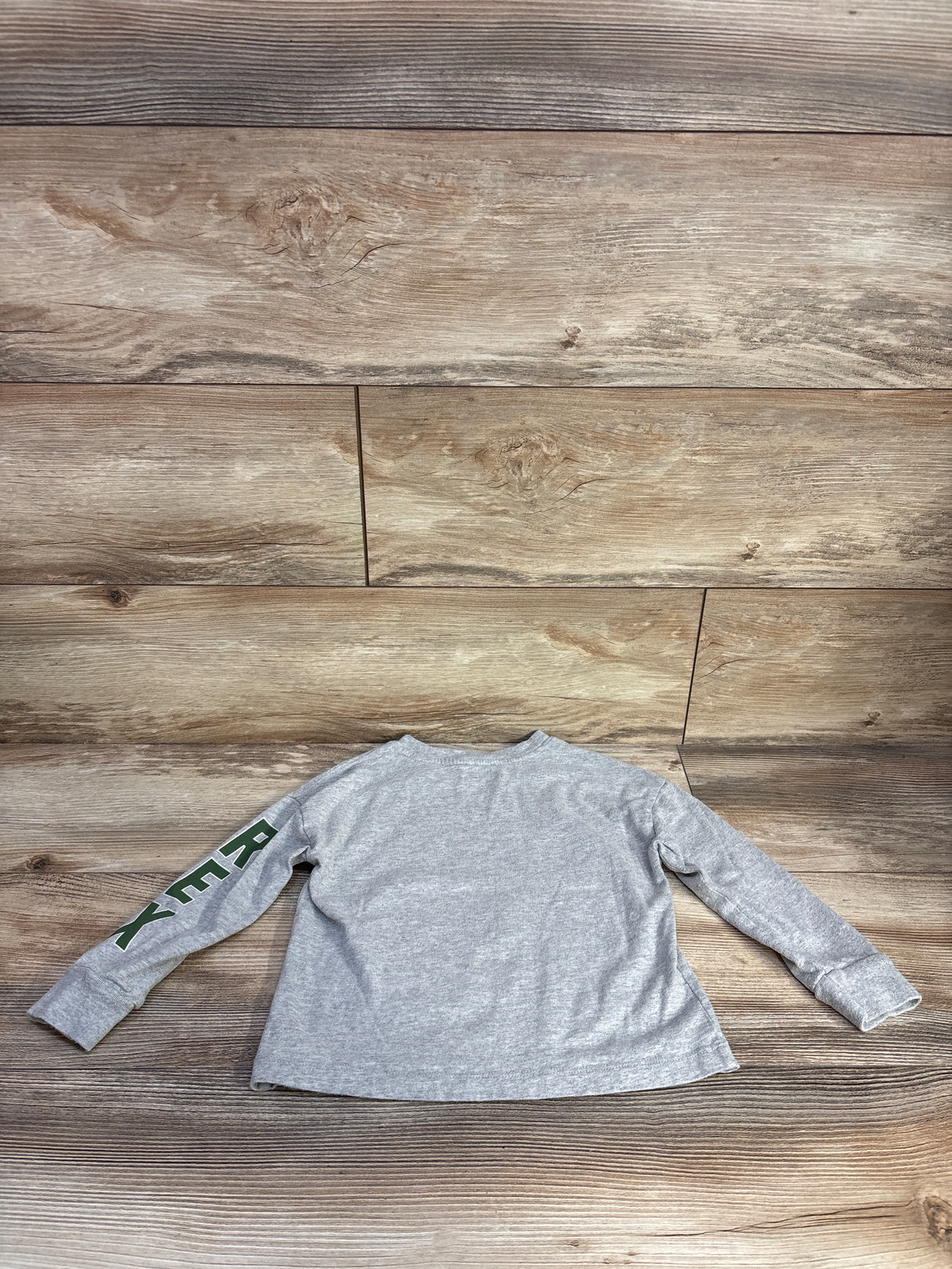 Baby Gap x Pixar Toy Story Roarsome Shirt Grey sz 4T