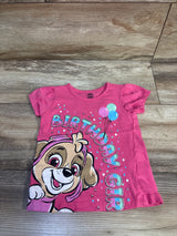 Nickelodeon PAW Patrol Puff Sleeve Birthday Girl Shirt Pink sz 2T