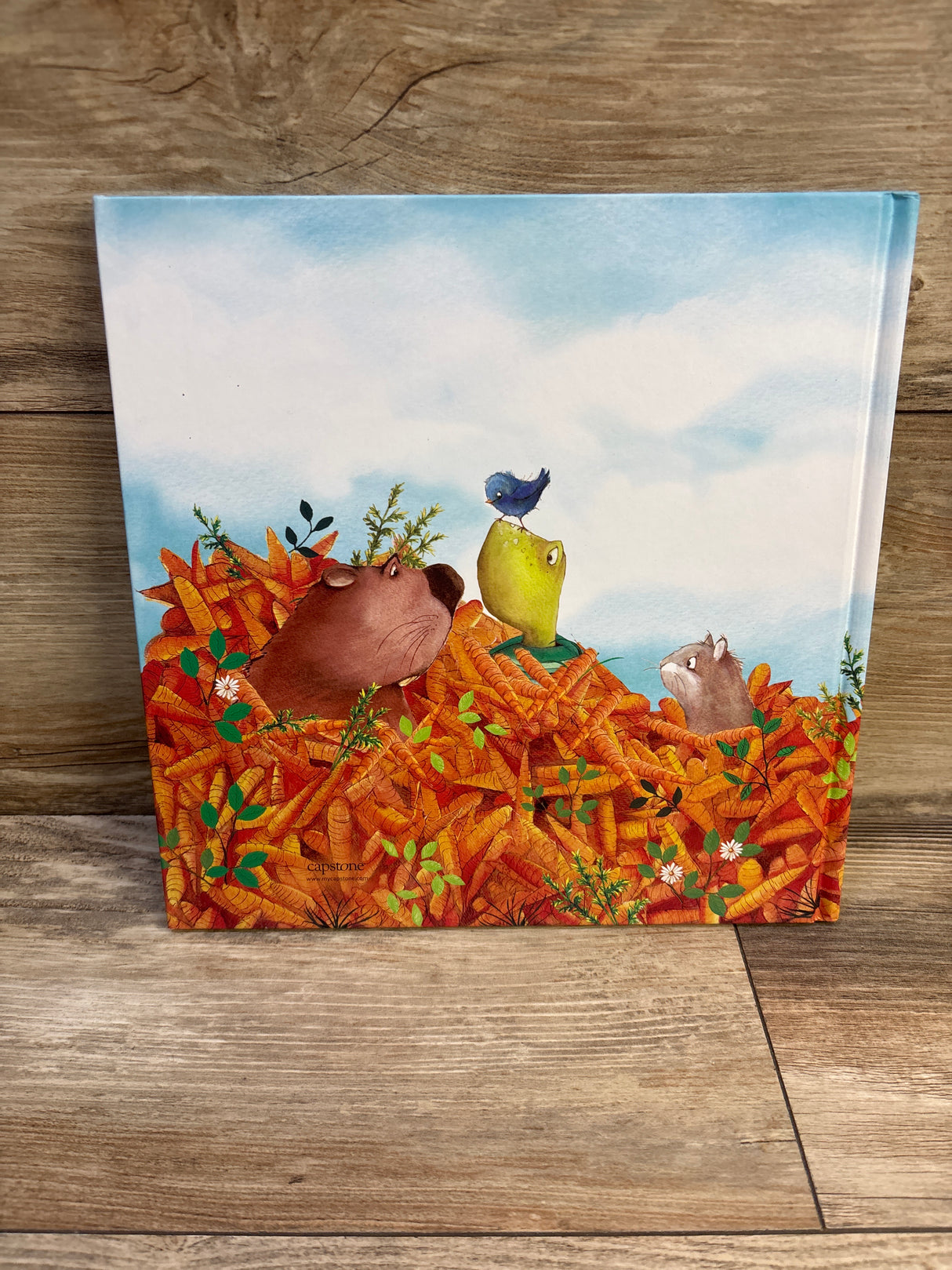Too Many Carrots Hardcover Book