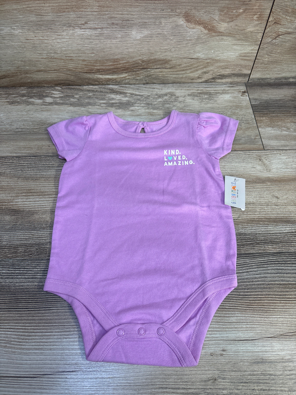 NEW Garanimals Kind, Loved, Amazing Bodysuit Pink sz 12m
