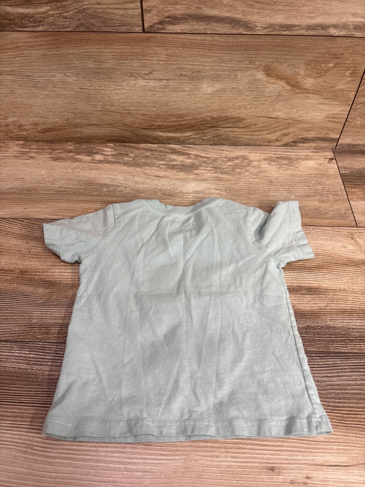 Bluey Shirt Mint sz 2T