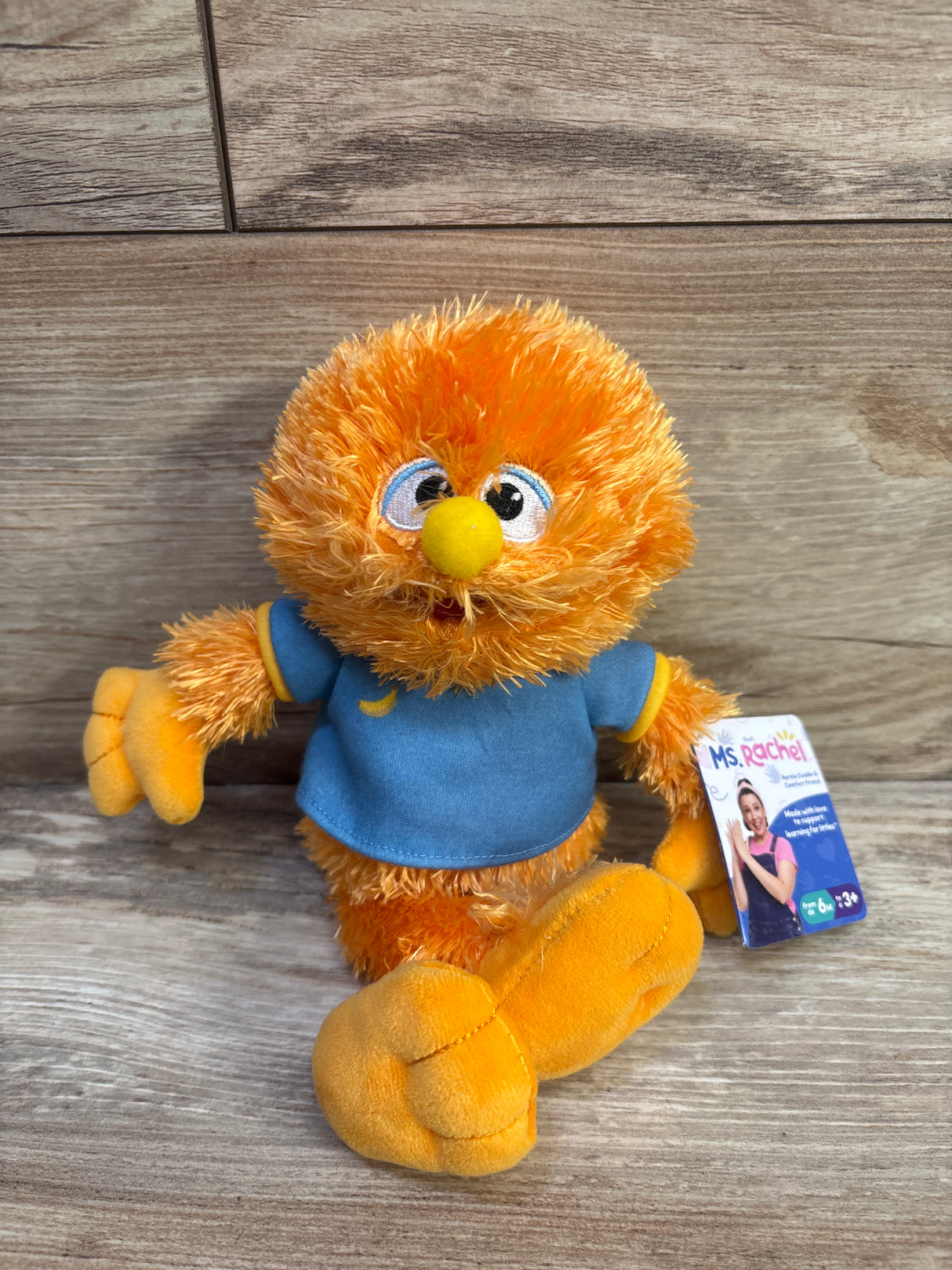 NEW Ms. Rachel Herbie 11" Cuddle & Comfort Friend Doll