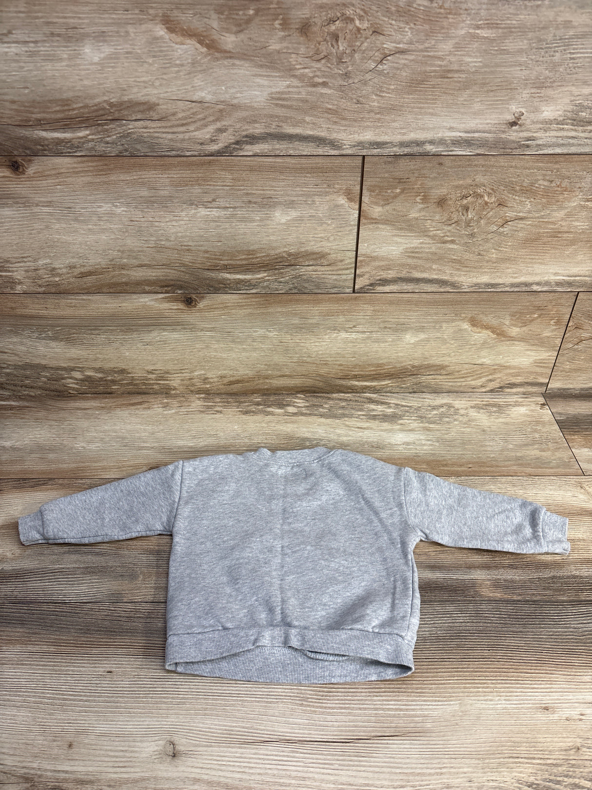 Little Planet Little Bear Camp Sweatshirt Grey sz 18m