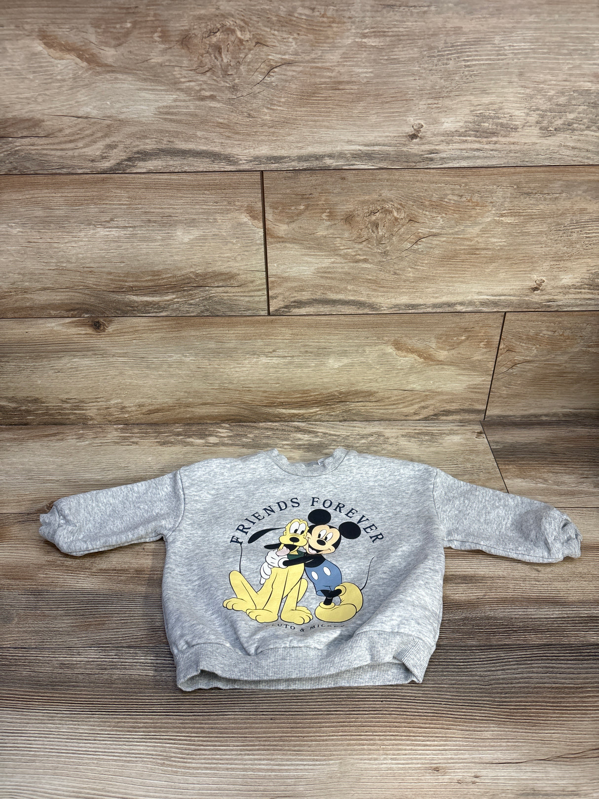 H&M x Mickey Mouse Friends Forever Sweatshirt Grey sz 12m