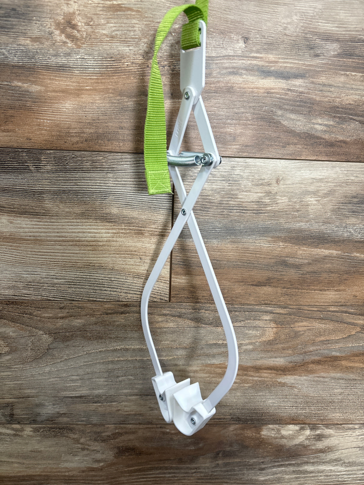 Evenflo Exersaucer Door Jumper - Forest Friends