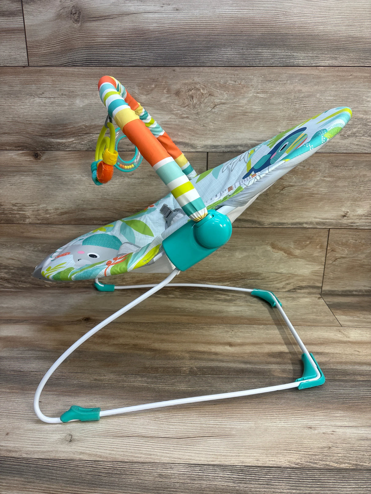 Bright Starts Playful Paradise Vibrating Baby Bouncer - Me n Mommy To Be