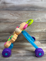 Fisher Price Laugh and Learn Smart Stages Learn With Puppy Walker