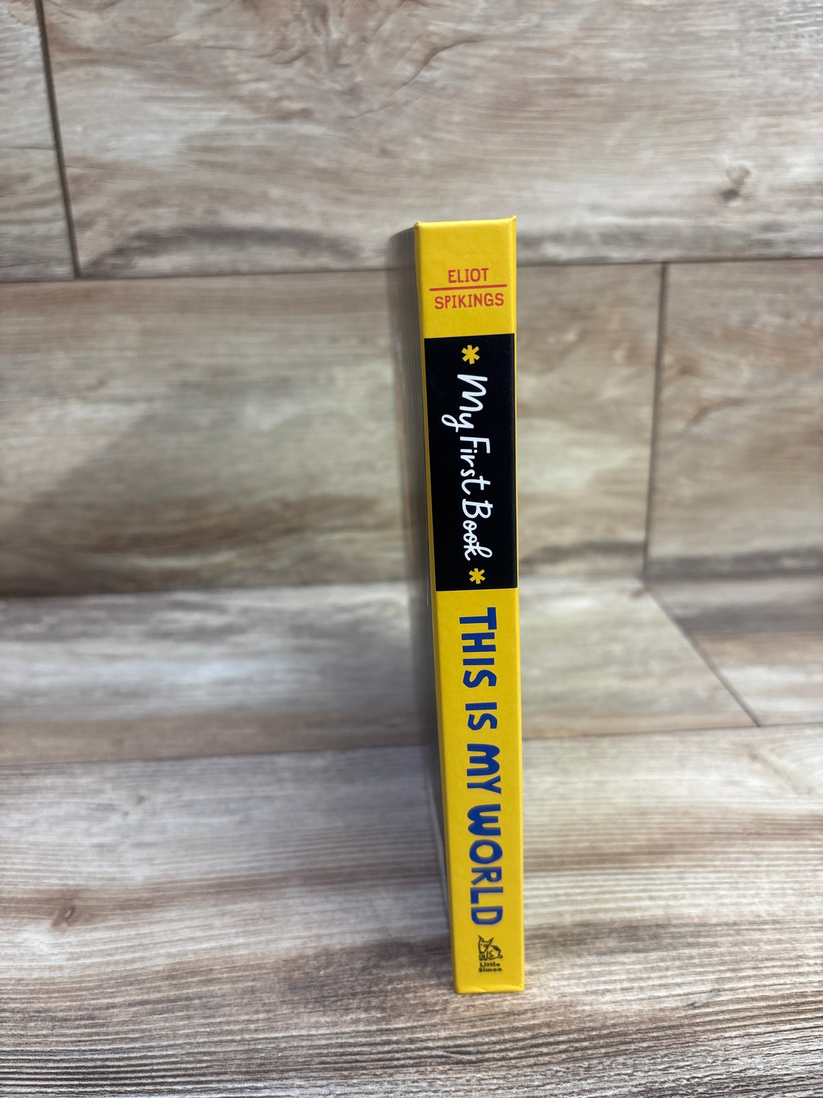 This Is My World: A High-Contrast Touch-and-Feel Board Book