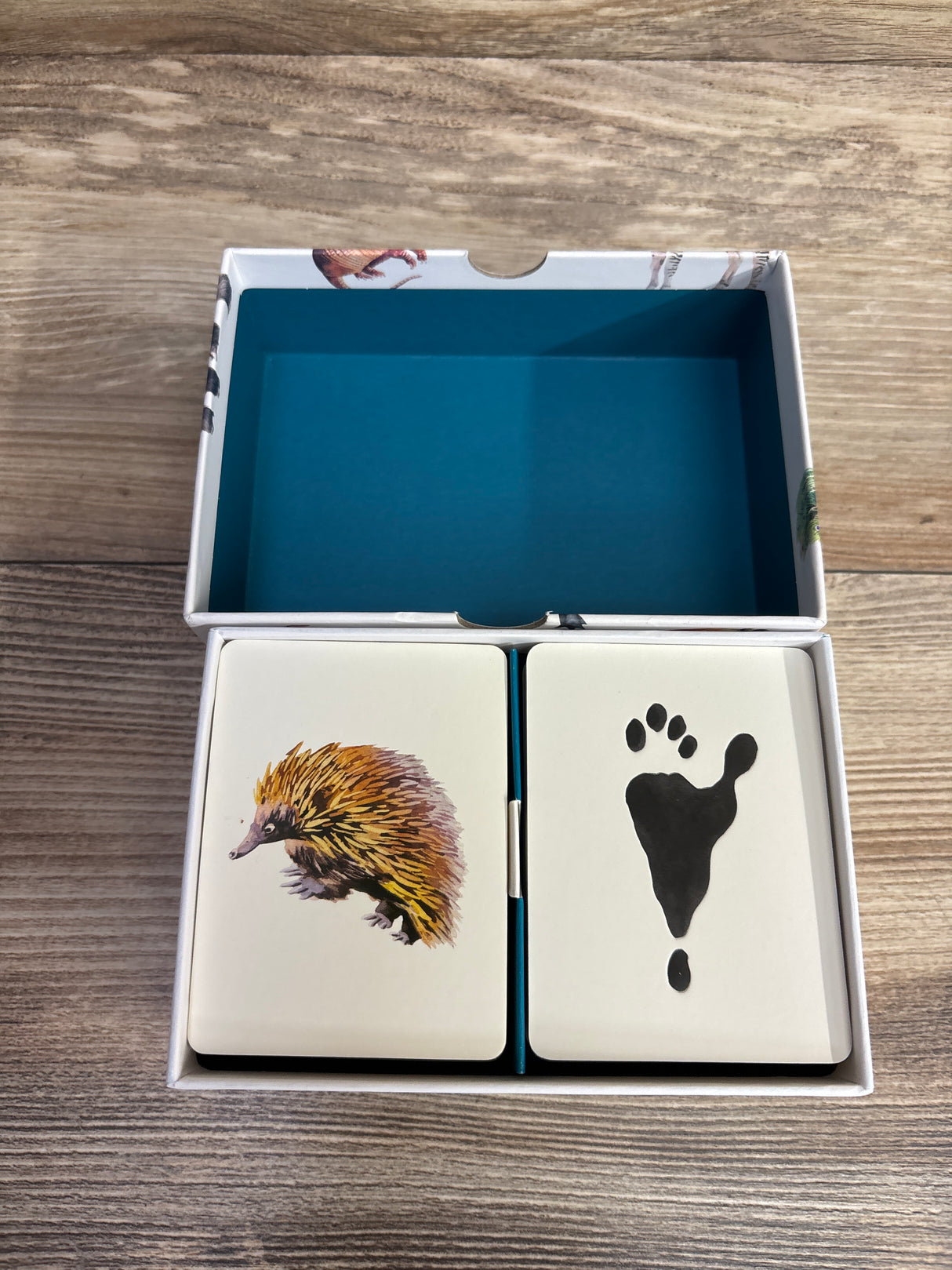 Match a Track: Match 25 Animals to Their Paw Prints Cards