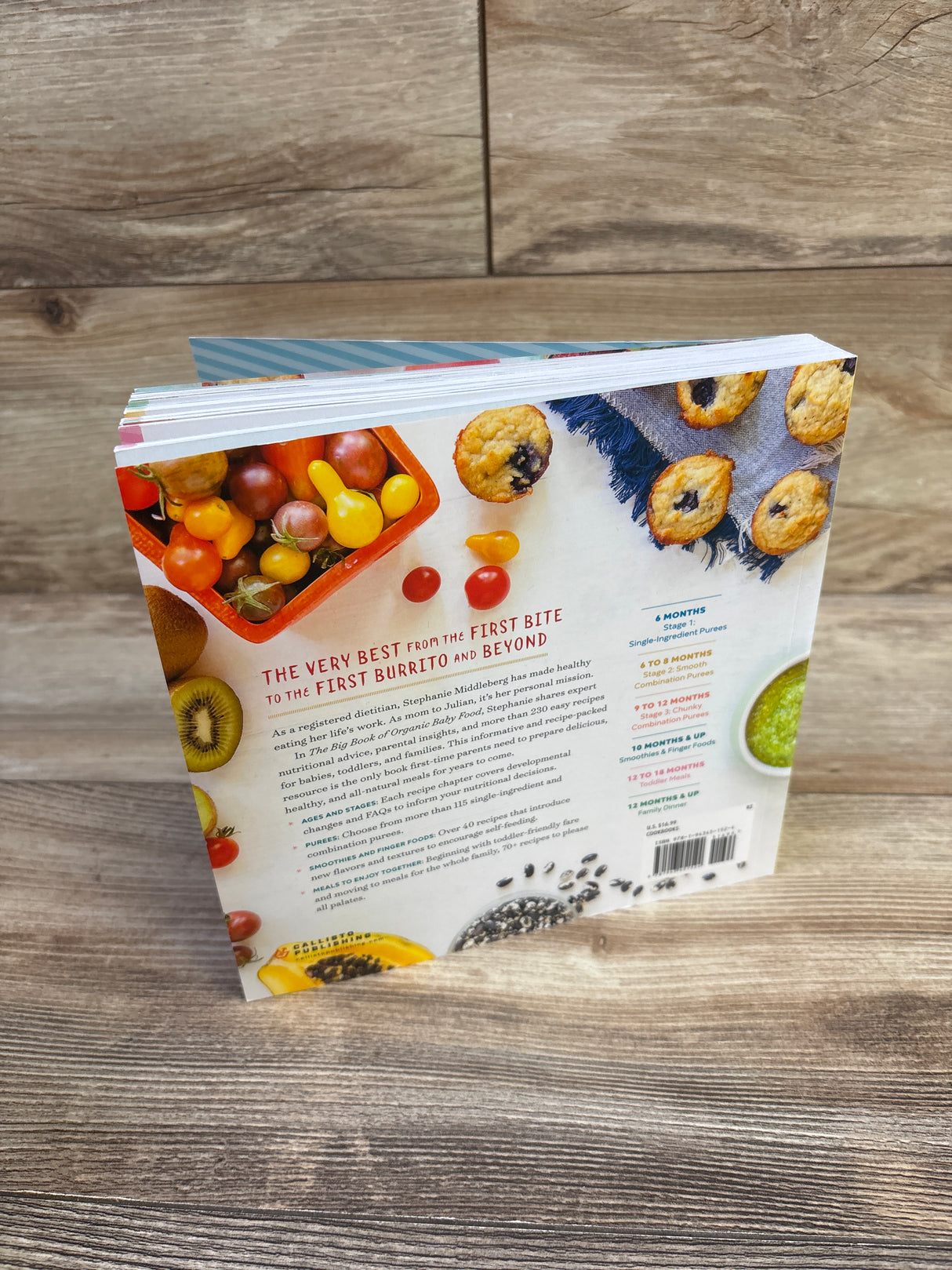 The Big Book of Organic Baby Food Paperback Book