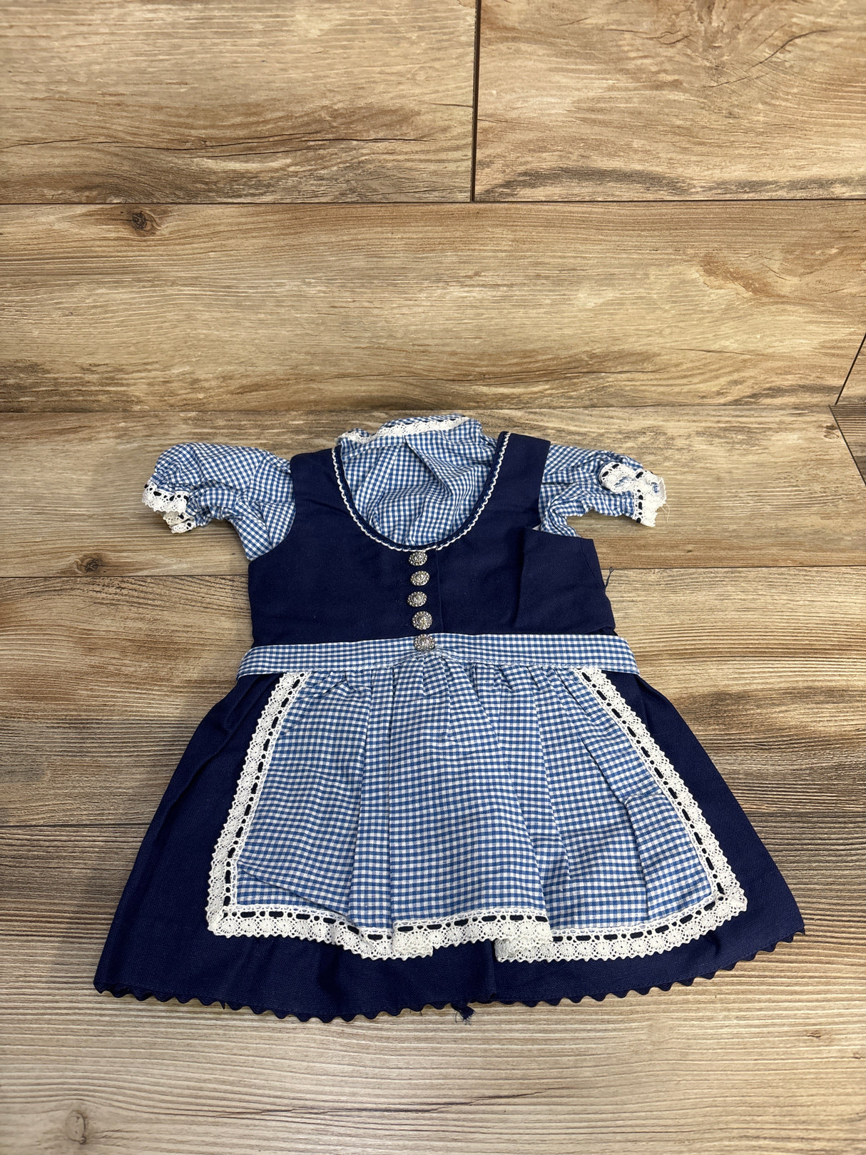 Gingham Octoberfest Dress Blue sz 9-12m