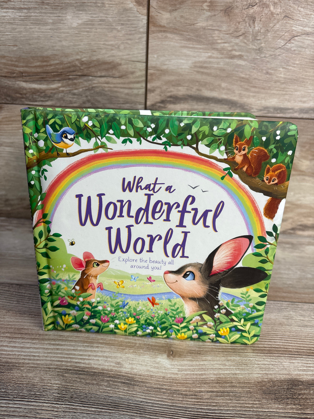 What a Wonderful World: Padded Board Book