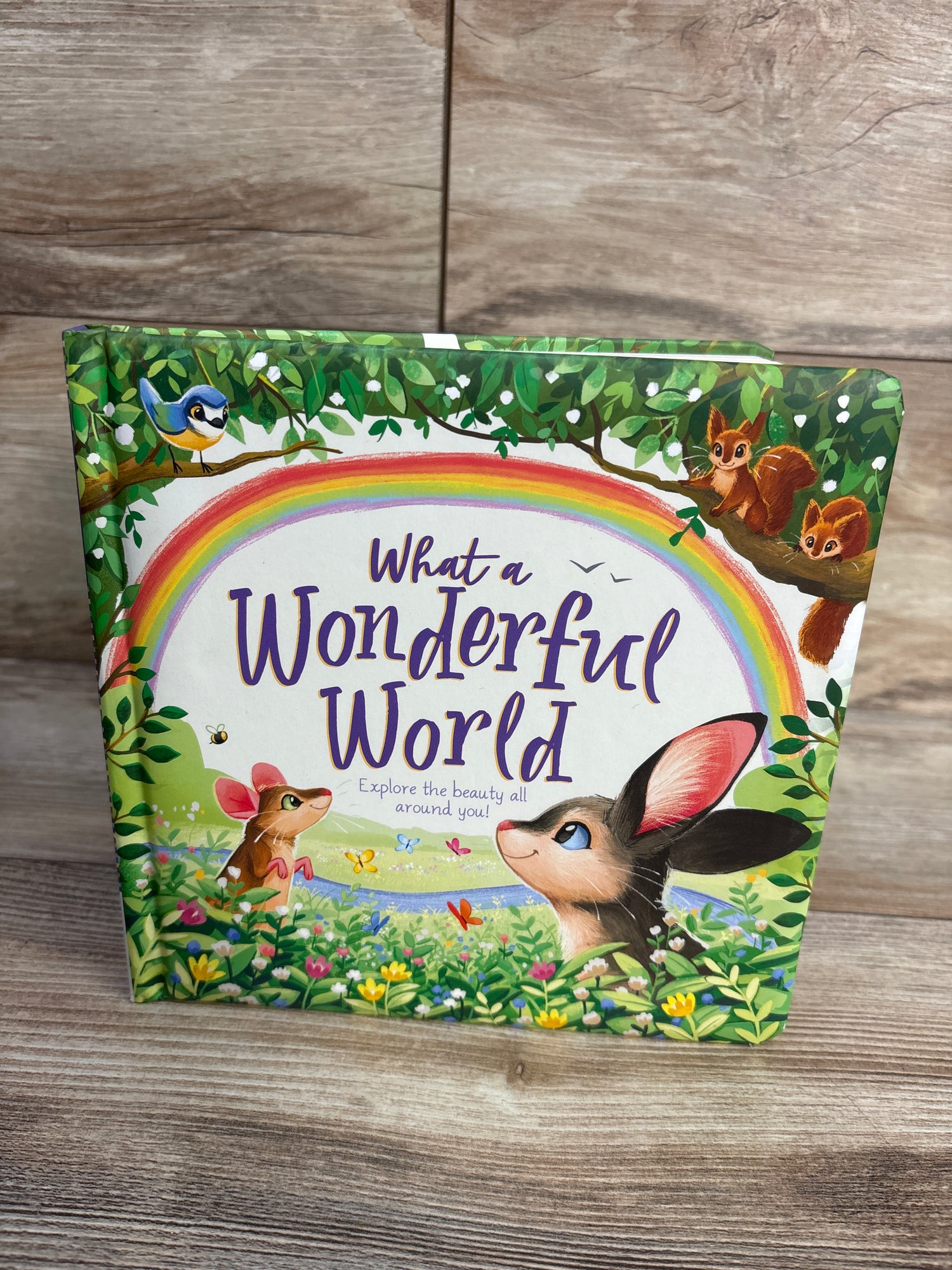 What a Wonderful World: Padded Board Book