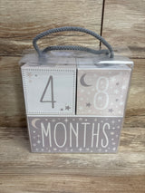 NEW My First Milestone Baby Age Blocks