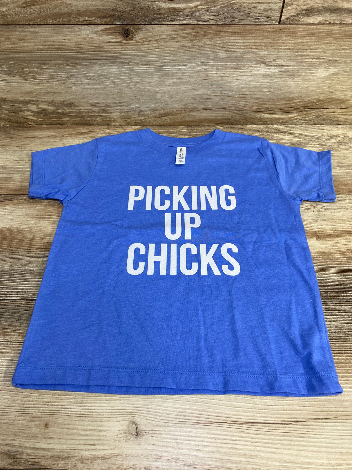 Bella + Canvas Kids Picking Up Chicks Shirt Blue sz 5T