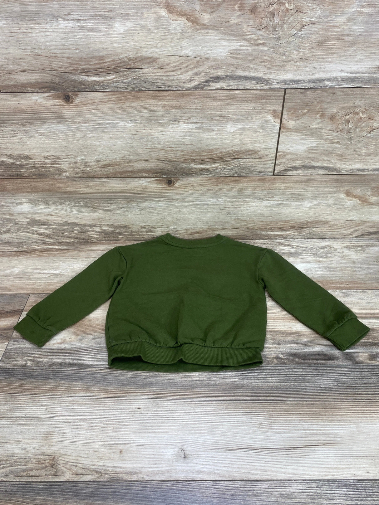 Black History Month My Dreams My Future Sweatshirt Green sz 4T