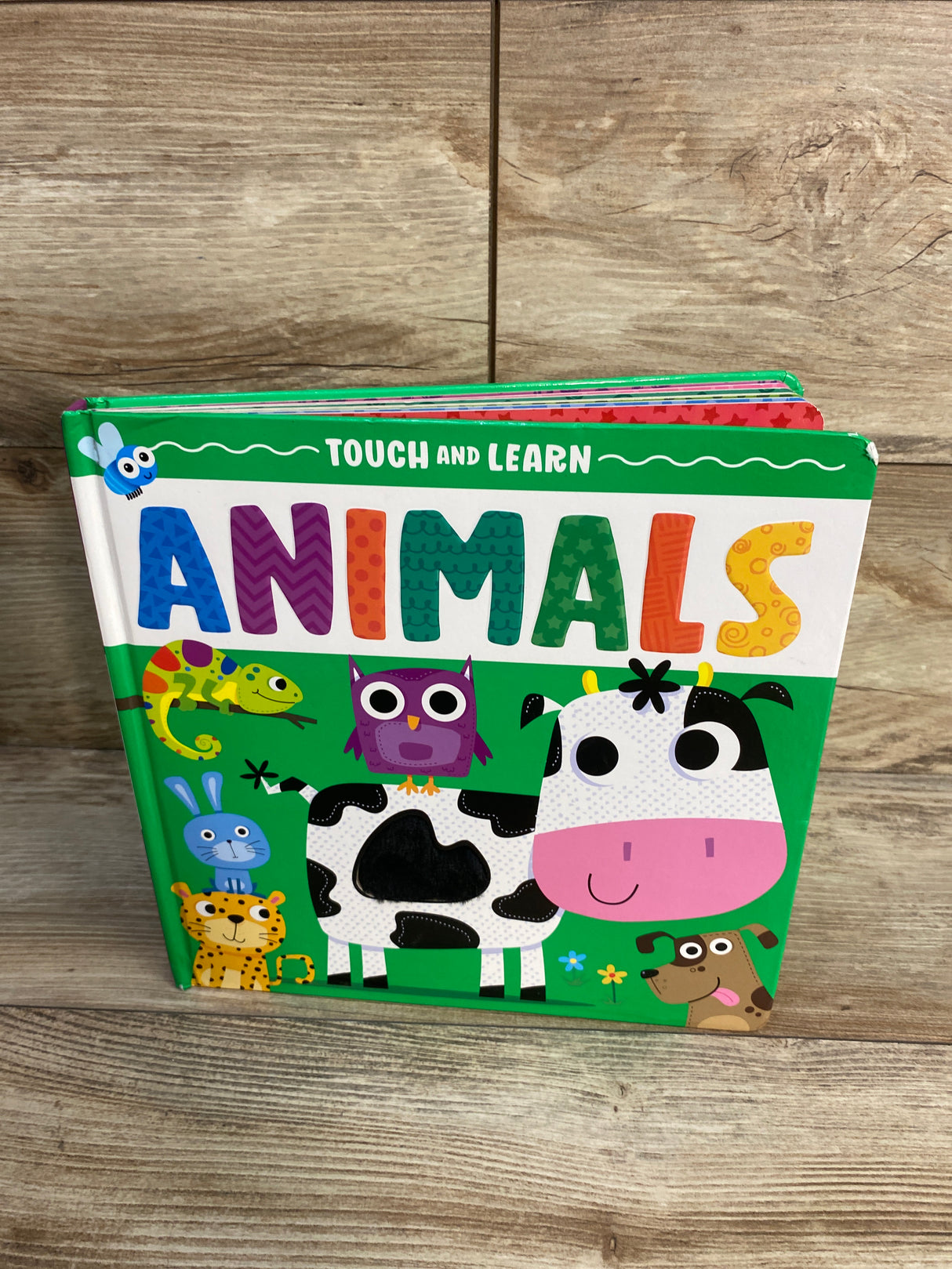 Animals (Touch and Learn) Board Book Green