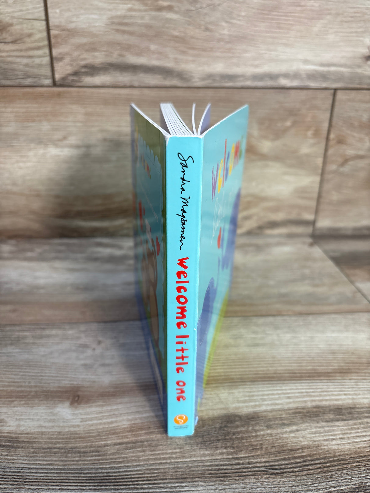 Welcome Little One Board Book