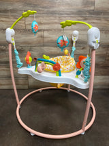 Fisher Price Blooming Fun Jumperoo