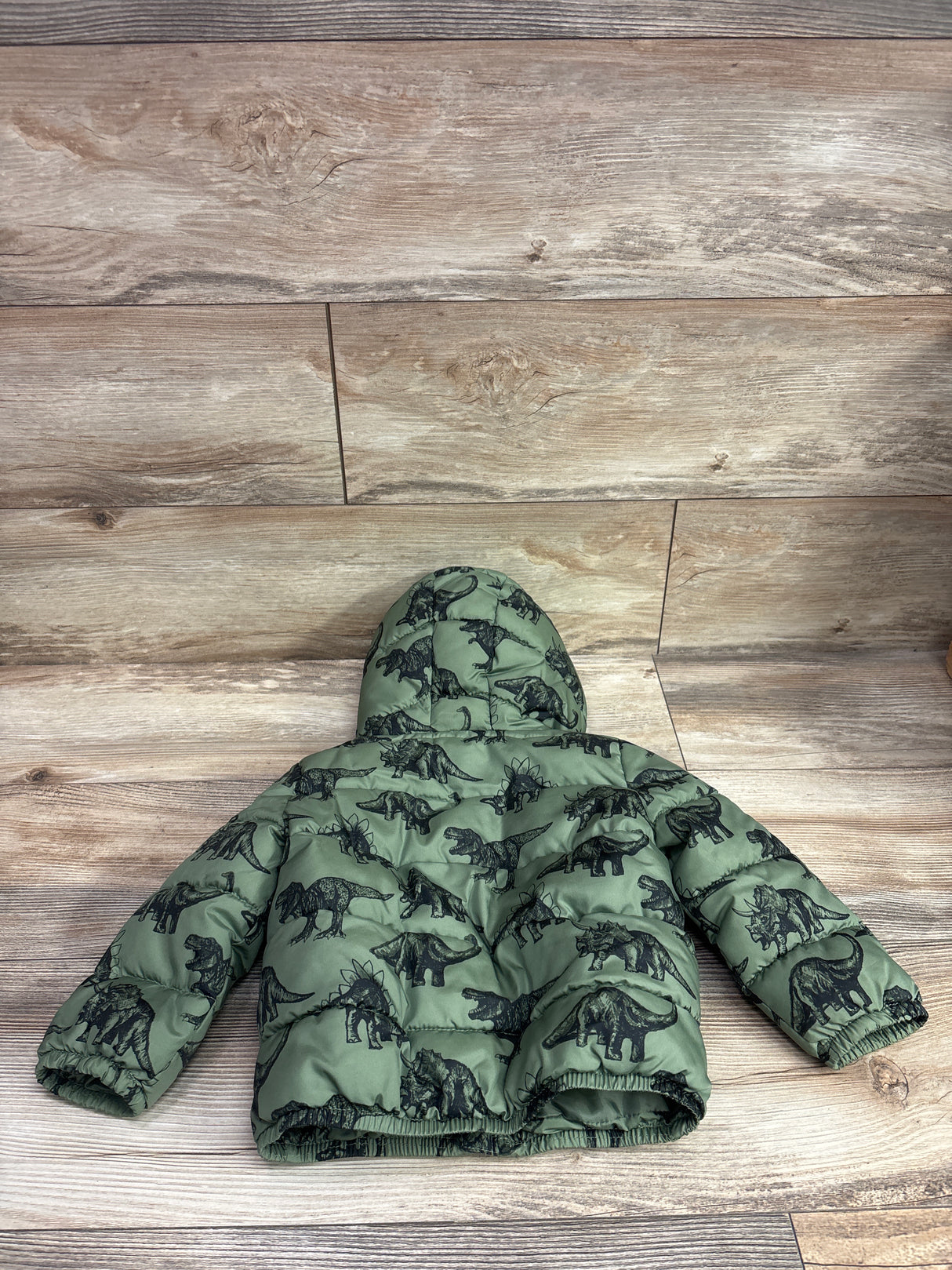 Children's Place Dinosaur Print Puffer Jacket Green sz 18-24m