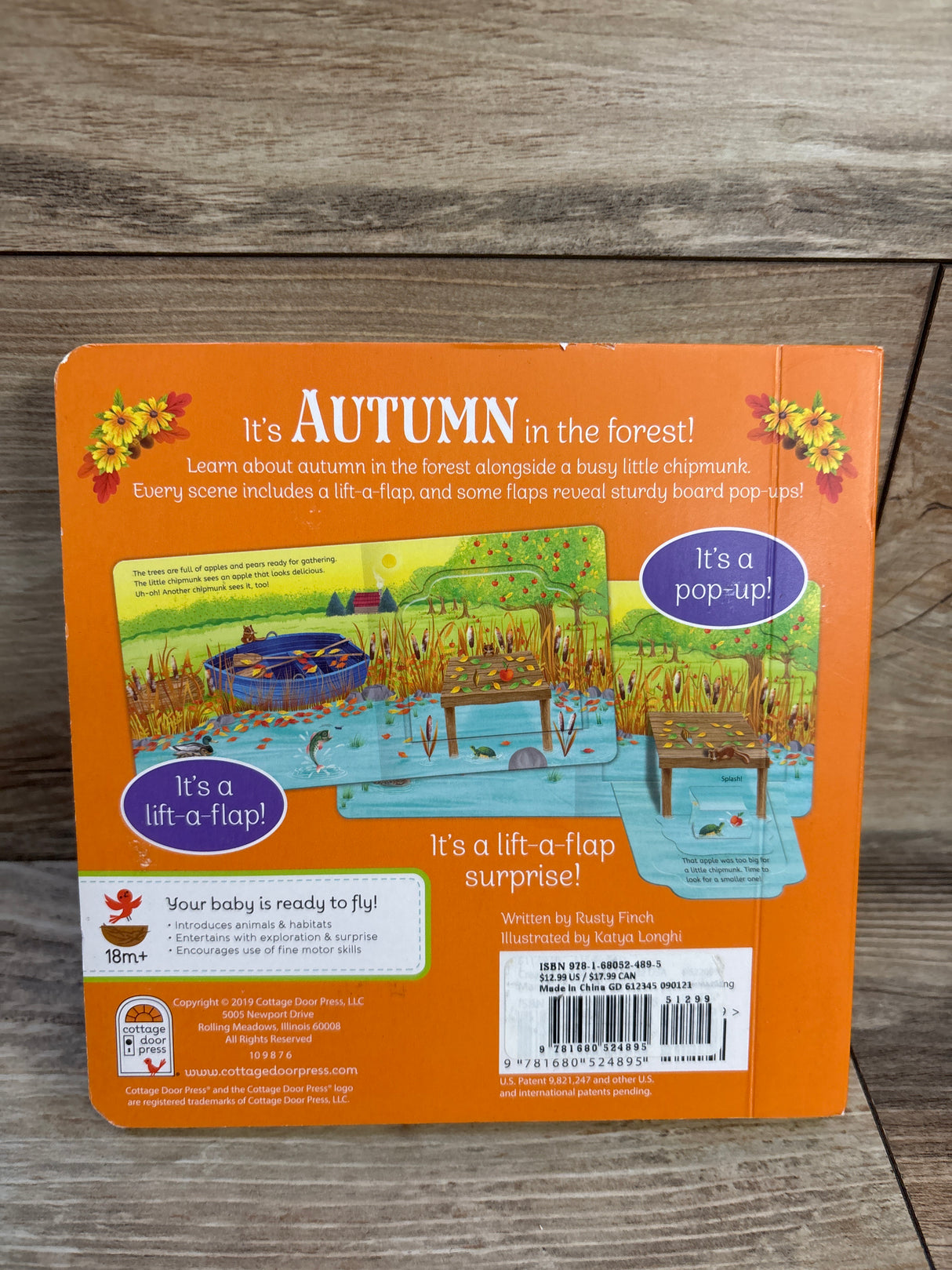 Autumn In The Forest Lift-a-Flap Board Book