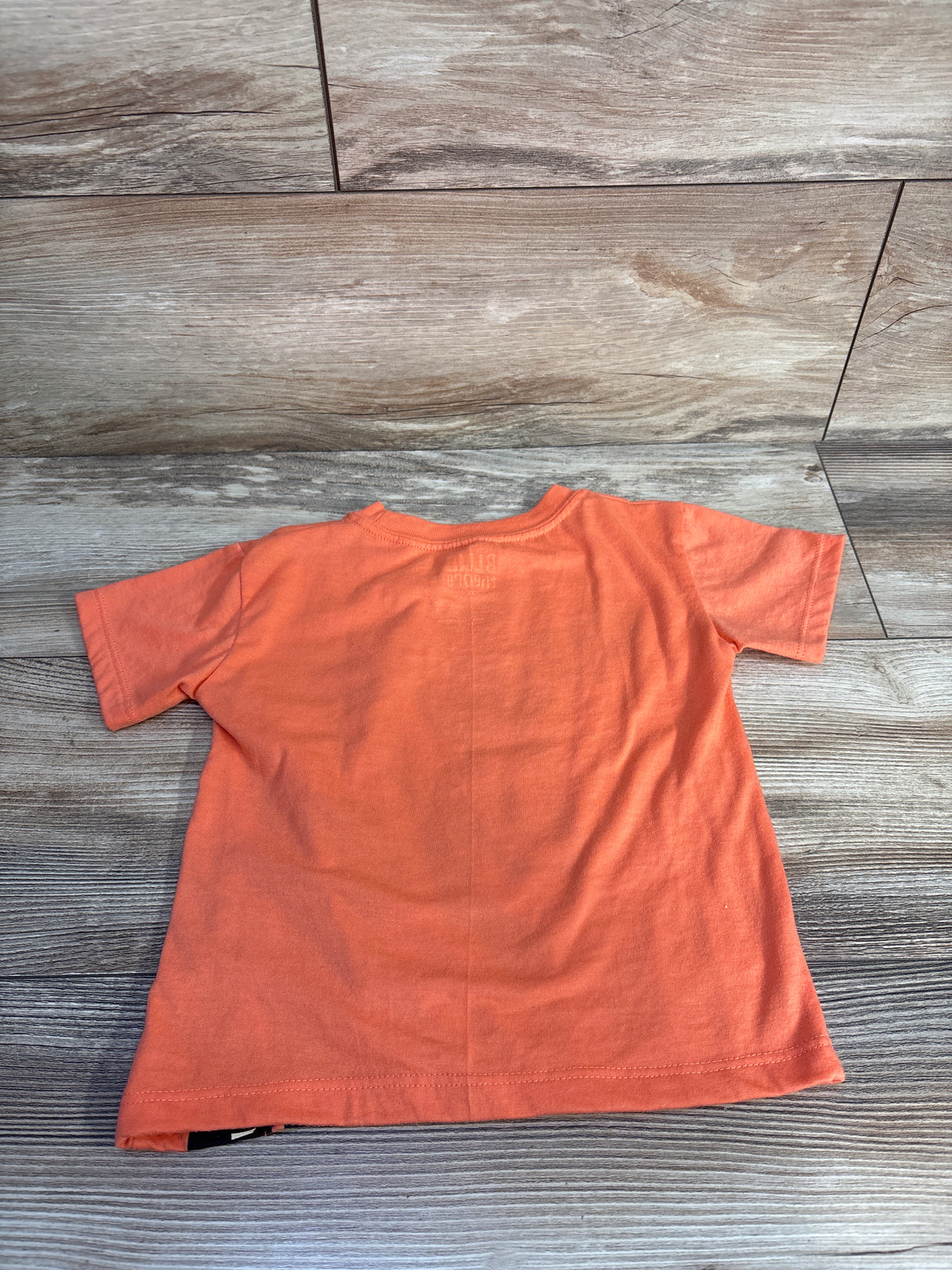 Blue Theory Dinosaur Shirt Orange sz 2T