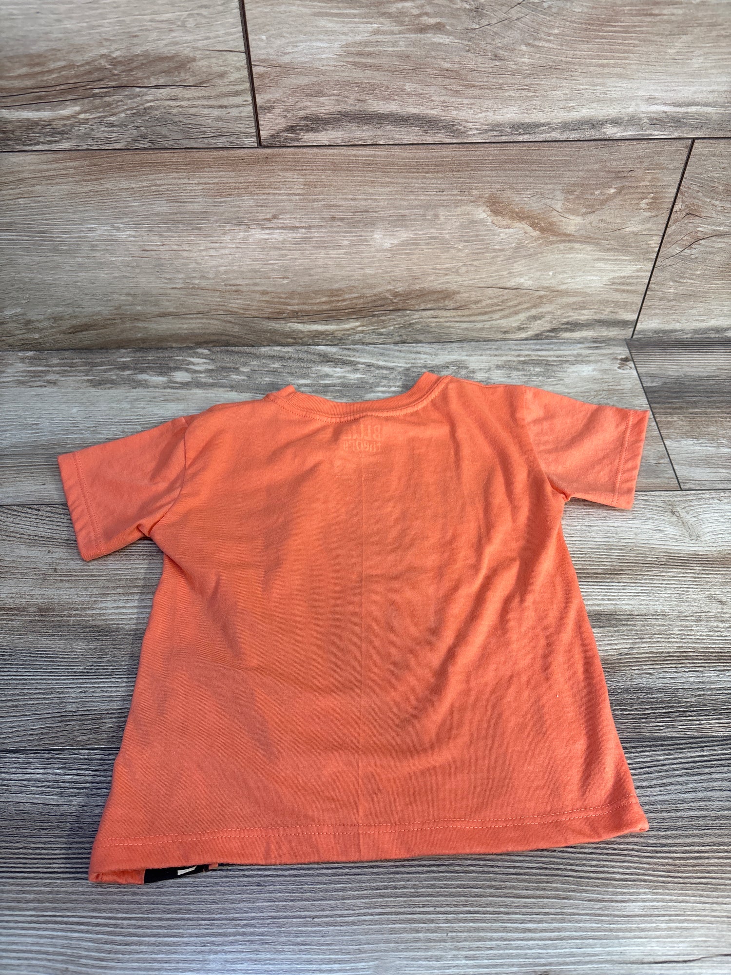 Blue Theory Dinosaur Shirt Orange sz 2T