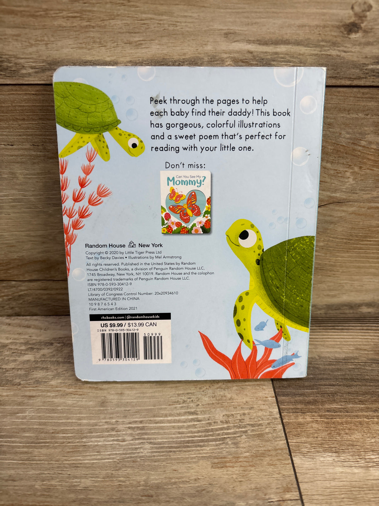 Can You See My Daddy? Board Book