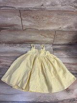 Counting Daisies Embroidered Gingham Dress Yellow sz 3T