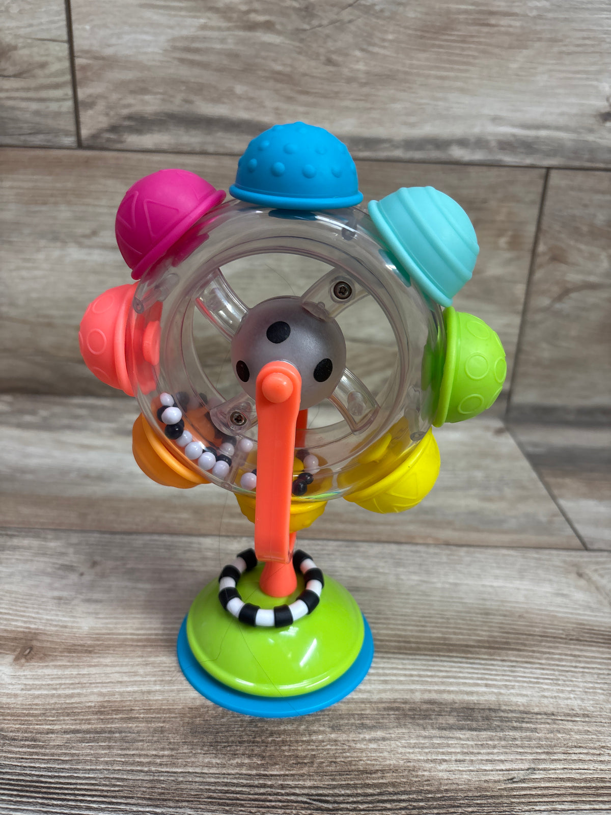 Sassy Light-Up Rainbow Reel Suction Base Toy