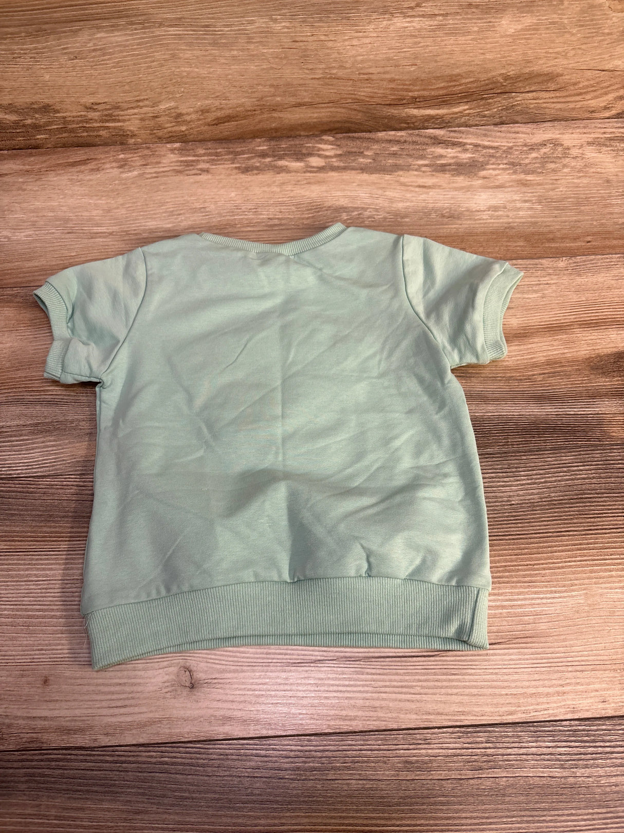 Daddy's Girl Short Sleeve Sweatshirt Mint sz 18-24m