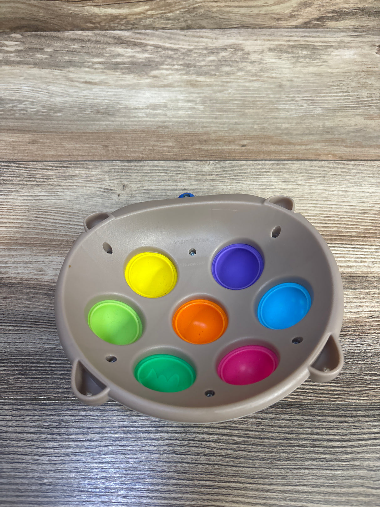 Spark Create Imagine Hedgehog Popper
