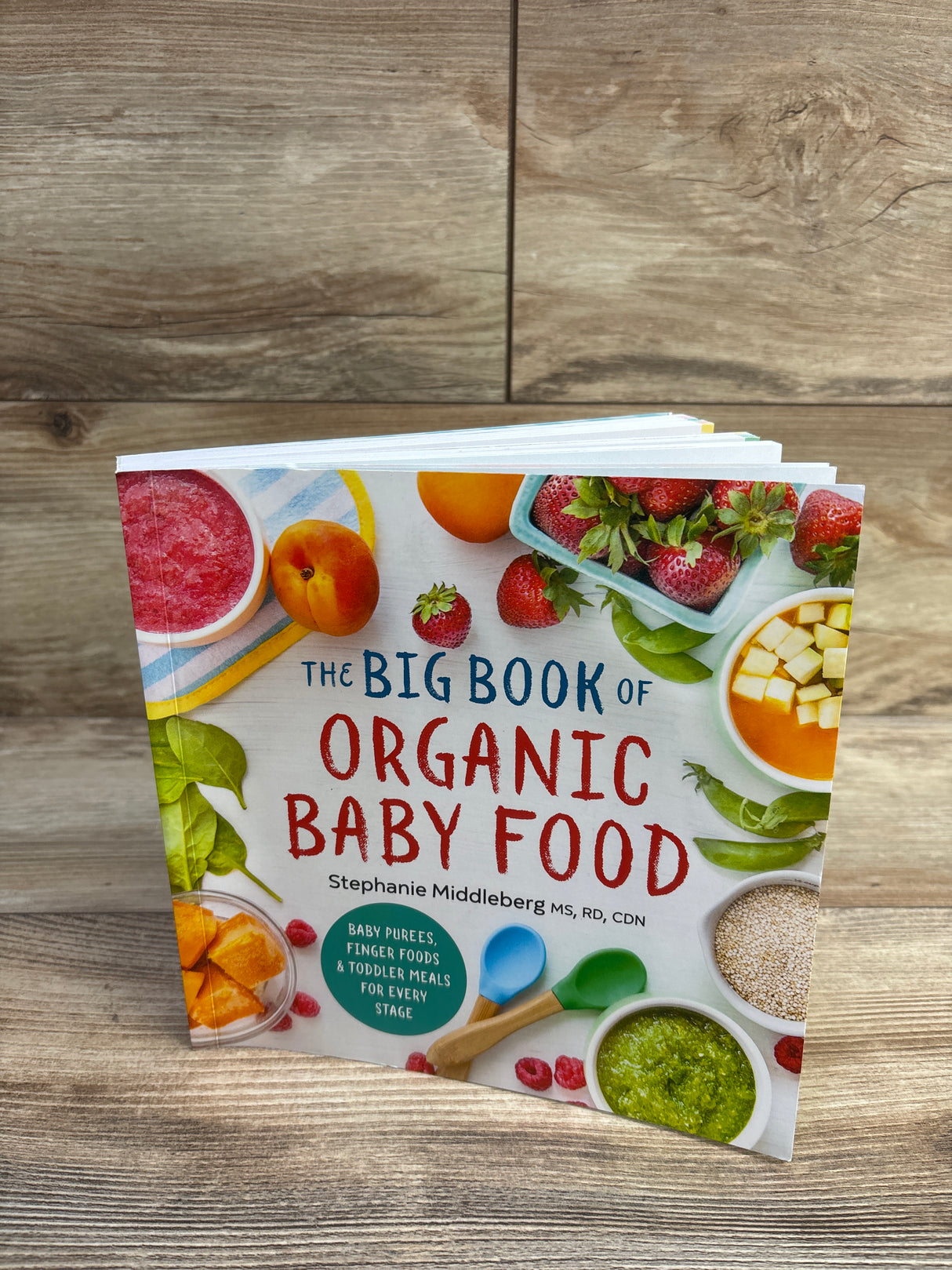 The Big Book of Organic Baby Food Paperback Book