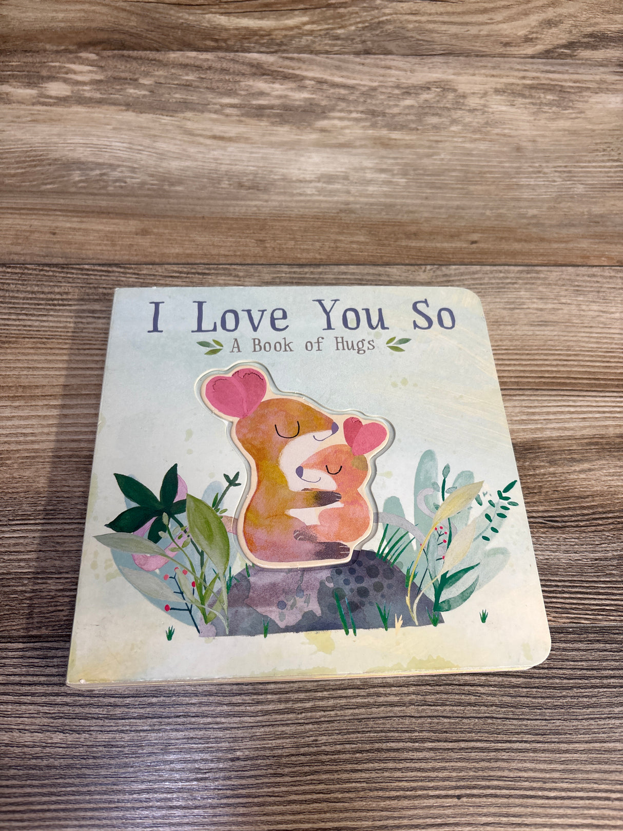 I Love You So: A Book of Hugs Board book