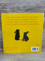 Animal Babies in the Meadow! Board Book