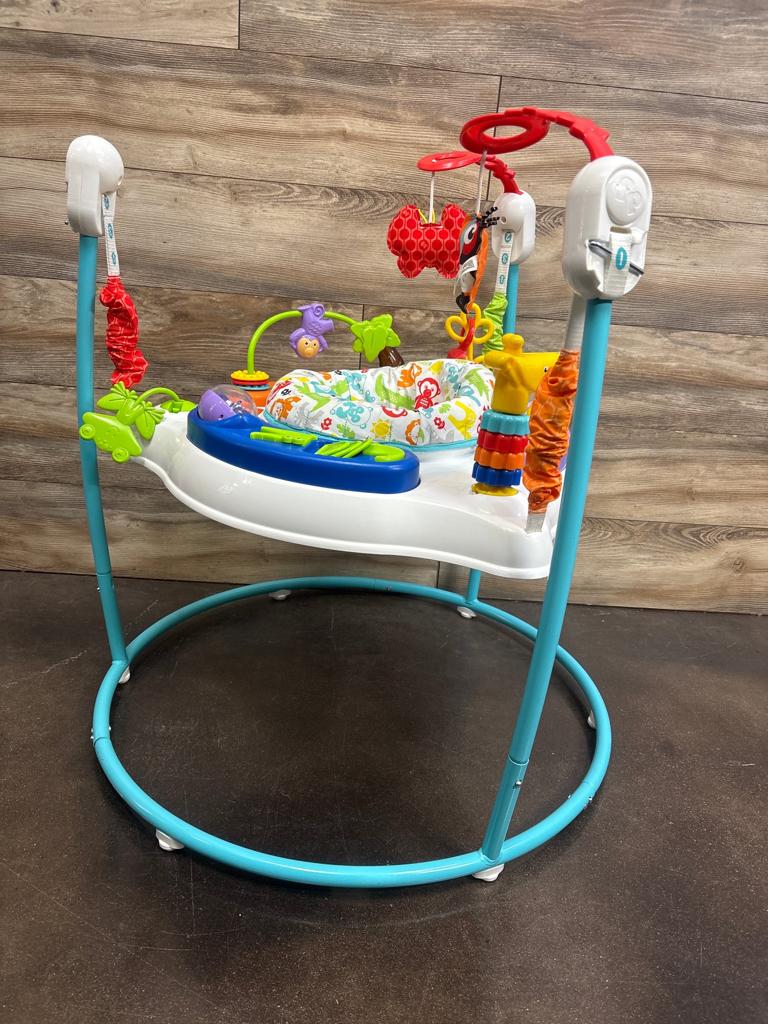 Fisher Price Animal Activity Jumperoo