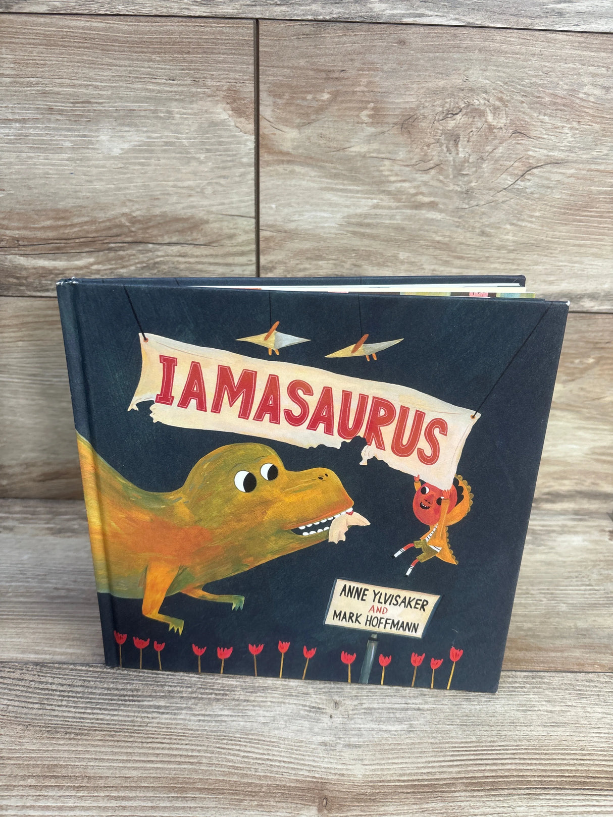 Iamasaurus Hardcover Book