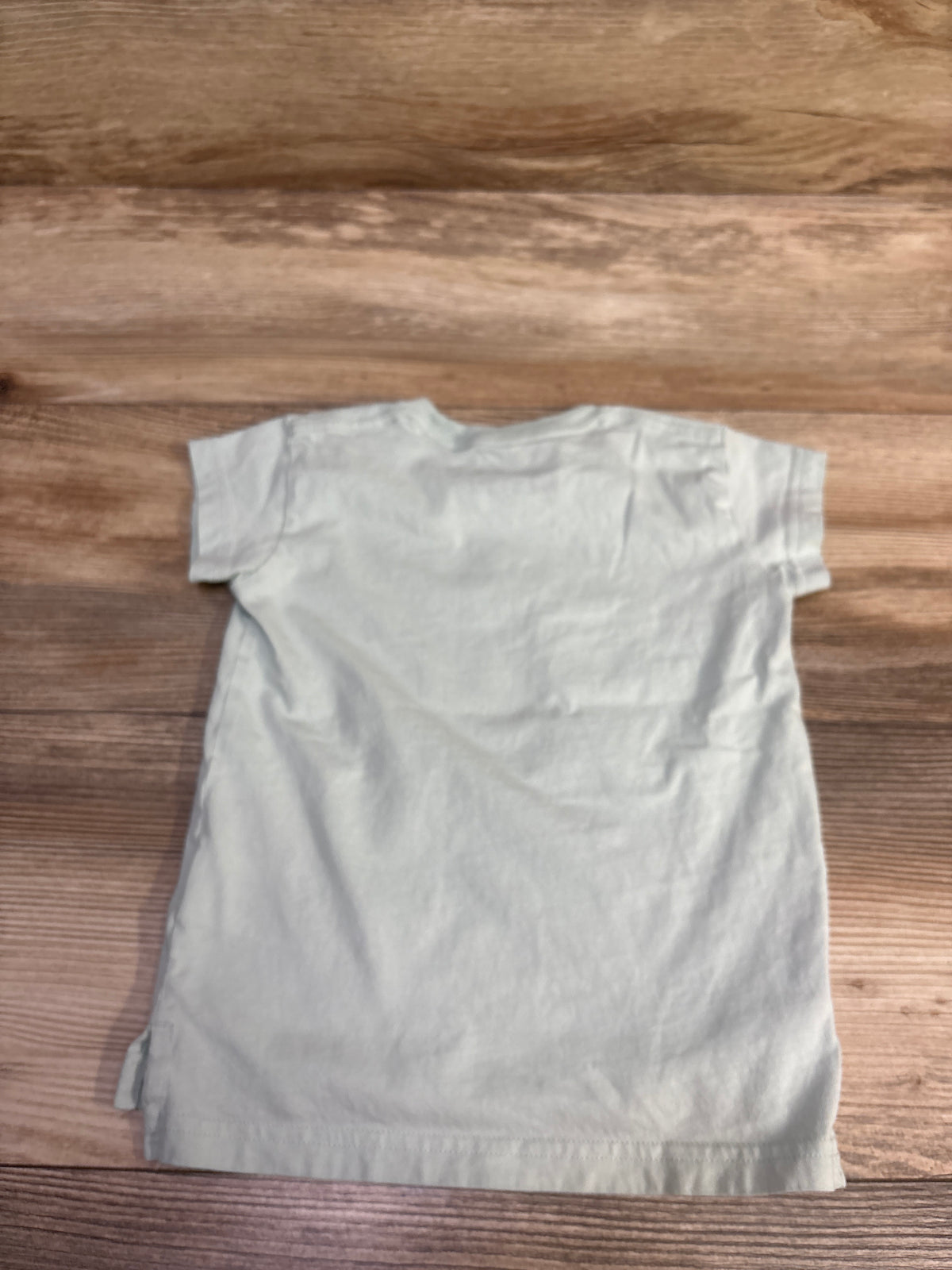 Carhartt Horse Shirt Mint sz 2T