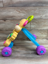 Fisher Price Laugh and Learn Smart Stages Learn With Puppy Walker